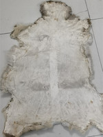 Fabrikangebot: Natürliches Ganzes Hirschfell, Elchhaar-Patch für Fliegenbindematerialien