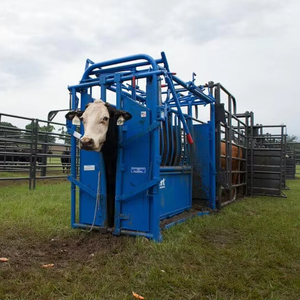 2025 New Mold Steel Tube Chute for <strong>Cattle</strong>