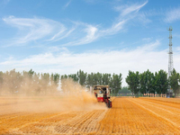 2.8m Largeur de coupe Chinese Top Farmer Factory Moissonneuse-batteuse avec YTO-4LZ-9B1 de tête de grain