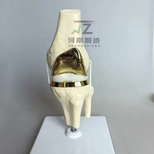 Articulations de genou artificielles de haute qualité, modèles d'articulations faits à la main, modèles chirurgicaux pour la formation médicale - Product Image 2
