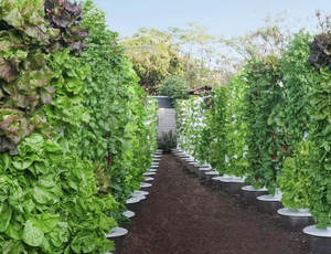 Tour de culture hydroponique verticale intelligente de grande taille pour serre avec système de circulation d'eau automatisé pour laitue, fraises et piments - Product Image 2