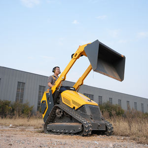 لودر انزلاقي التوجيه صغير الحجم ومدمج يعمل بالديزل Kubota D1105 بقوة 25 حصانًا من AUSTTER مع منصة وقوف - Product Image 5