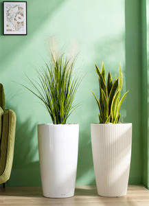 Vase rond coloré pour plantation, imitation plastique blanc, pot de fleurs à absorption automatique d'eau - Product Image 5