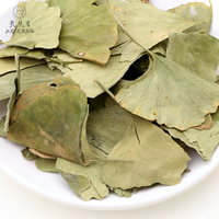 Gute Qualität Ginkgo Blätter Chinesisch getrocknet Yin Xing Ye Gingko Kräutertee Lose blatt Gesundheit Ginkgo Biloba Blatt Tee