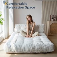 Canapé-lit pliable convertible, chaise-lit, matelas, support de dossier, chaise longue portable pour chambre à coucher, beige, double
