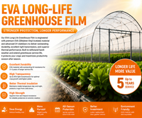 Film plastique PE EVA thermique infrarouge (IR) pour serre agricole, anti-poussière, anti-goutte, diffuseur, 5 couches, pour baies et légumes