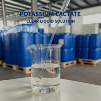 Lactate de potassium liquide de qualité alimentaire E326, solution à 60 %, faible teneur en sodium, régulateur de pH, certifié HALAL/KOSHER, conservateur pour produits transformés