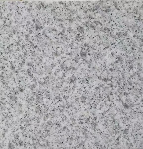 Cao cấp G303 Bạc <span class=keywords><strong>grey</strong></span> <span class=keywords><strong>Granite</strong></span> tấm Đánh Bóng Hiện Đại phòng khách nhà bếp phòng tắm ngoài trời cầu thang bên ngoài ăn tấm lớn - Product Image 2