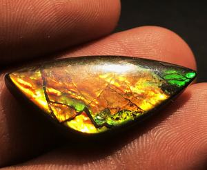 Cabujones naturales de ammolita canadiense, gemas sueltas de forma libre - Product Image 4