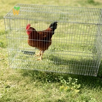 Cages à poulets de combat 1x1 pliables, cage à pigeons, piège à oiseaux vivants, piège à animaux, piège à oiseaux de ferme, contrôle des oiseaux, grillage métallique