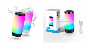 <span class=keywords><strong>Soundking</strong></span> Micro Altavoces Dj Sound Box Bass Altavoces Woofer Altavoz Precio Baja Frecuencia Wireless Party Active IP68 Cable de carga - Product Image 6