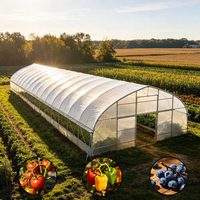 Grand kit de serre tunnel monocouche en PE avec système de culture intégré pour laitues et légumes