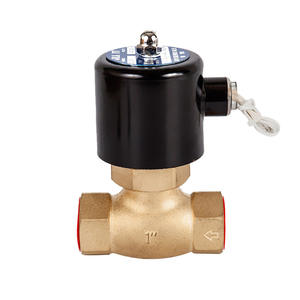 Vanne solénoïde à vapeur en laiton de 1 pouce, à commande par piston pilotée, garantie d'un an, 2L-25, directement du fabricant - Product Image 1