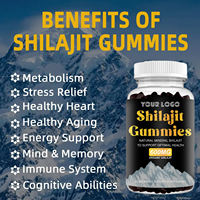 Bonbons gélifiés au Shilajit : Favorise l'équilibre hormonal, améliore la mémoire et le sommeil, booste l'énergie - Complément alimentaire à base de plantes