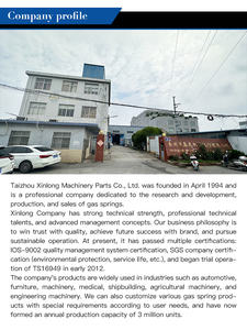 ガスばね<span class=keywords><strong>470mm</strong></span>-750N鋼支柱ガスリフトサポートブラケット付き - Product Image 6