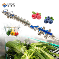 Automatische wortelgroente- en fruitrecycling-waslijn met ozon fruitwasmachine voor verse groenteverwerkingsfabrieken