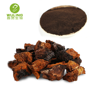 Caliente venta salvaje hongo Chaga extracto en polvo - Product Image 5