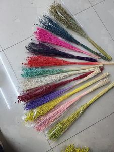 Taidian — <span class=keywords><strong>fleurs</strong></span> d'acacia <span class=keywords><strong>séchées</strong></span> naturelles, vente en gros, vraies perles, <span class=keywords><strong>séchées</strong></span>, vente en gros, B0170 - Product Image 3