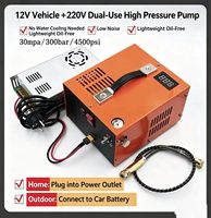Compresseur d'air portable haute pression 4500psi 300bar 30MPa 12V 110V 220V pour mini-cylindre de plongée PCP