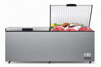 Congélateur horizontal commercial grande capacité à ouverture par le haut WKN BD-350, congélateur profond certifié CE/CB, contrôle électronique, fabrication OEM