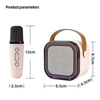 Double Microphone Mini Microphone Portable Home Singing Karaoke Wireless BT Speaker Outdoor Mini Speaker with RGB Light