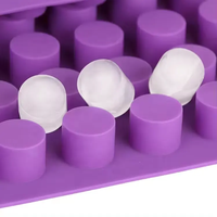 Moule à glaçons en silicone de forme cylindrique à 88 trous pour la maison