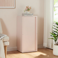Mini armoire de rangement en métal, casier domestique à une porte pour l'entrée, petit rangement domestique avec 1 porte pour le salon