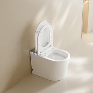 S024 Smart <strong>Toilet</strong> Auto Open/Close Heated Seat Instant Warm Water Dryer Modern Elongated Bidet Intelligent One Piece <strong>Toilet</strong> - Product Image 4