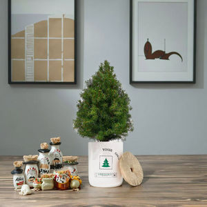 Kit d'outils de Noël à séquoia géant pour pots de fleurs et jardinières - Product Image 4