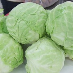 Máquina Cortadora de Repollo, Máquina para Desmenuzar Repollo y Cebolla - Product Image 2