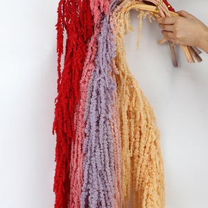 Carenado de maranthi, - Product Image 3