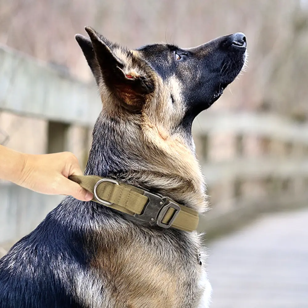 ชุดปลอกคอและสายจูงสุนัขทำจากหนังอุปกรณ์เสริมสำหรับสัตว์เลี้ยงดีไซน์หรูหราทนทาน