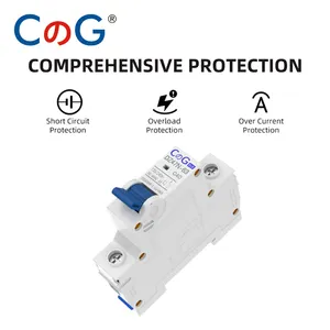 Cg 2Pcs Set Ac Miniatuur Stroomonderbreker 1 Paal 6a 10a 16a 20a 25a 32a 40a 50a 63a 120/240V Thermische Magnetische Trip Din Rail Mount