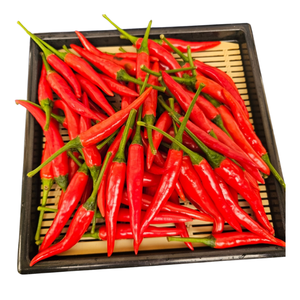 Chili fresco del fabricante agrícola vietnamita, pimientos enteros congelados, especias, embalaje personalizado, precio razonable, crudo - Product Image 6