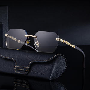 Lunettes de soleil photochromiques Polo Haus pour homme, protection UV400, verres PC classe 2, monture noire, branches dorées-blanches à gris - Product Image 2