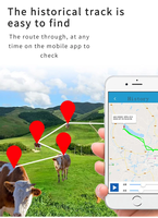 Rastreador GPS Solar con Batería de Gran Capacidad de 10000 mAh para Vacas, Ganado, Ovejas, Rastreador GPS Inteligente para Animales Grandes