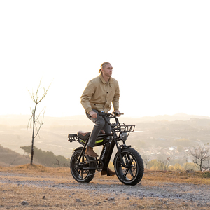 KOOLUX X9 PROS Bicicleta Eléctrica con Motor Trasero sin Escobillas de 250W, Batería de Litio de 48V, Sistema de Discos, 20 Pulgadas, Stock en el Reino Unido, Envío Rápido - Product Image 5