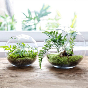 Vaso di decorazione per la casa succulenta aria chiara globo Micro paesaggio terrario palla di vetro - Product Image 1