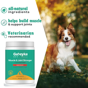 Polvo más fuerte para músculos y articulaciones con mejillón de labios verdes para perros y gatos - Product Image 3