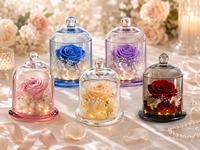 Trendige Deko Großhandel Konservierte Rose unter Glaskuppel mit LED-Licht Mini Ewige Blume Geschenk für Valentinstag Geburtstag