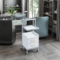 Chariot de salon commercial moderne de haute qualité en métal, chariot à outils de beauté pour atelier en vente de liquidation
