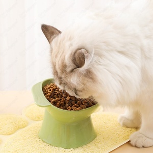 Factory Manufacturer Wholesale Eco-Friendly Solid Stainless Steel Anti-Spill Leak <b>Proof</b> Safety Pet Bowls for Dogs & Cats - Product Image 1