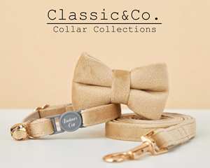 Collier pour chat personnalisé beige Breakaway Veet avec nœud papillon et laisse, gravure personnalisée du nom du chaton, boucle de sécurité, clochette dorée gratuite, pour femelle - Product Image 2