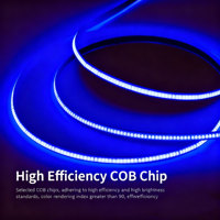 Bande lumineuse LED COB 384 LED/m 3000K/4000K/6500K 24V 8MM USB/Wi-Fi/ Flexible Lumière uniforme pour la publicité extérieure
