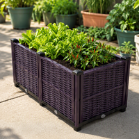 Jardinière rectangulaire surélevée en PP avec trous de drainage et système d'auto-arrosage, durable, légère, écologique, pour usage intérieur/extérieur