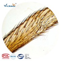 Animal Histology Prepared Slides 80pcs Animal Histology Slides Histology Microscope Slides