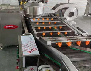 Mesin cuci gelembung kentang dan pencuci buah jalur produksi pengering pembersihan