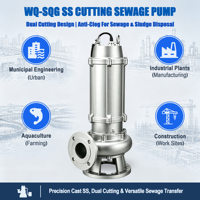 Bomba Sumergible para Aguas Residuales de Acero Inoxidable WQ (D)-SQG 304/316, Producción Directa de Fábrica, Motor con Bobinado de Cobre IP68