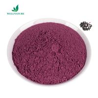 Colorant Alimentaire de Qualité Supérieure d'Usine Anthocyanes 25% Extrait de Fruit de Sureau Noir en Poudre
