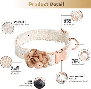 HQREA Beige y conjunto de correa Collar de perro de encaje ajustable Perros grandes con flores y cierre de metal dorado rosa para mascotas Boda Cumpleaños - Product Image 2